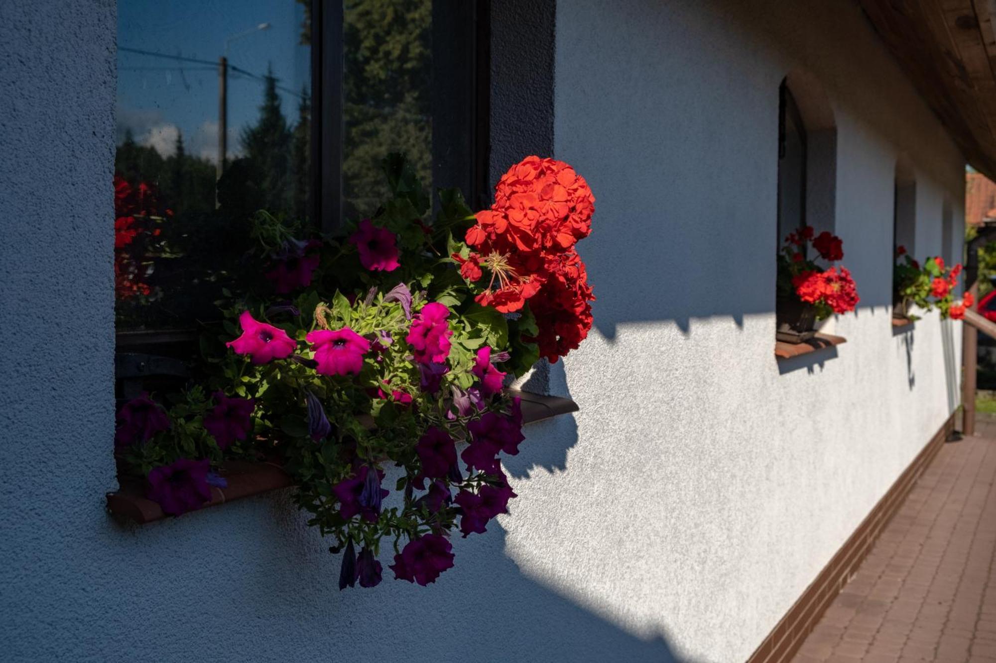 Villa Siedlisko Leszczewek Exterior foto